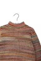 Faded autumnal stripe turtleneck image