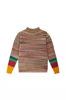 Faded autumnal stripe turtleneck image