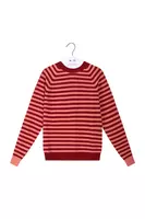 Rose and berry striped sweater  image