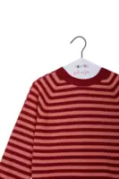 Rose and berry striped sweater  image