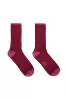 Grape Socks  image