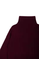 Wine Ribbed Turtleneck  image