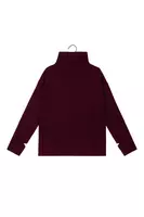 Wine Ribbed Turtleneck  image