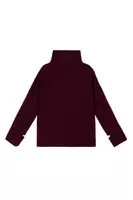 Wine Ribbed Turtleneck  image