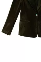 Fir green velour blazer image