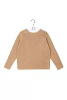 Camel Marl Sweater  image