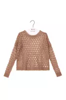 Taupe Open Knit Sweater  image