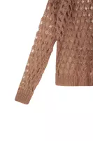 Taupe Open Knit Sweater  image