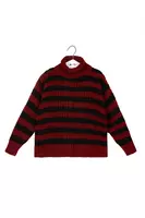 Wine and Black Striped Turtleneck Sweater  image