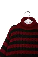 Wine and Black Striped Turtleneck Sweater  image