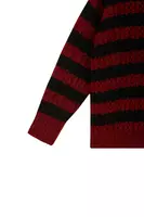 Wine and Black Striped Turtleneck Sweater  image