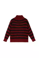 Wine and Black Striped Turtleneck Sweater  image