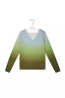 Sky Blue and Green Degradé Printed Sweater  image