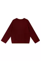 Maglione vinaccia con trama image