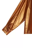 Bronze Metallic Shirt  image