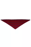 Lipstick Red and Navy Striped Triangular Scarf  image