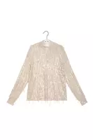 Icicle Sequin Mesh Top  image