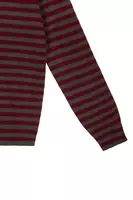 Wine and Fir Green Striped Cashmere Sweater  image