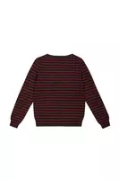 Wine and Fir Green Striped Cashmere Sweater  image