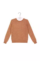 Camel Striped Cashmere Sweater  image