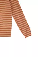 Camel Striped Cashmere Sweater  image