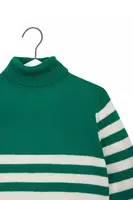 Emerald Green and White Striped Turtleneck image