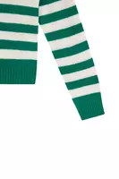 Emerald Green and White Striped Turtleneck image