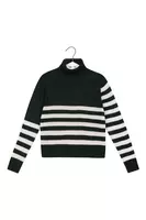 Fir Green and White Striped Turtleneck image