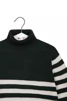 Fir Green and White Striped Turtleneck image