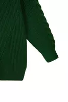 Forest Green Cableknit Sweater Mini Dress  image