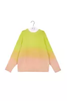 Lime Green and Blush Degradé Sweater  image