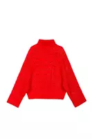 Fire Red Turtleneck Sweater  image