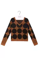 Metallic Bronze Polka Dot Sweater  image