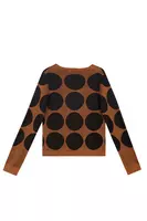 Metallic Bronze Polka Dot Sweater  image