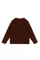 Chocolate Brown Knit Hoody Sweater  image