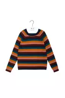 Autumnal Striped Sweater  image