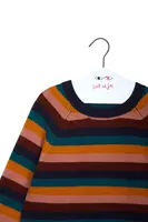 Autumnal Striped Sweater  image