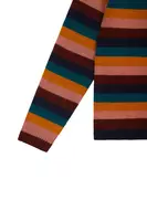 Autumnal Striped Sweater  image