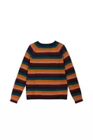 Autumnal Striped Sweater  image