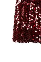 Wine Macro Sequin Half Circle Skirt  image