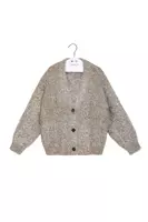 Silver Tinsel Cardigan  image