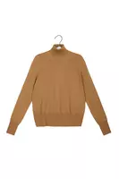 Camel Turtleneck with Cut Out  image