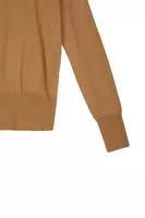 Camel Turtleneck with Cut Out  image