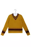 Mustard Pointelle Knit Sweater  image