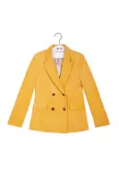 Sunny Yellow Corduroy Tailored Pant Suit  image