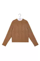 Tawny Brown Speckled Cableknit Sweater  image