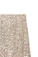 Silver Champagne Sequin Skirt  image