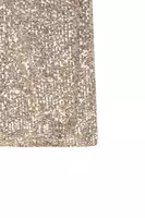 Silver Champagne Sequin Skirt  image