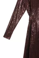 Wine Micro Sequin Shirtdress  image