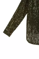 Fir Green and Bronze Sequin Blouse  image